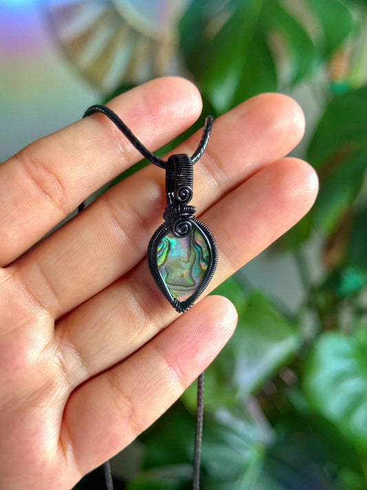 abalone shell