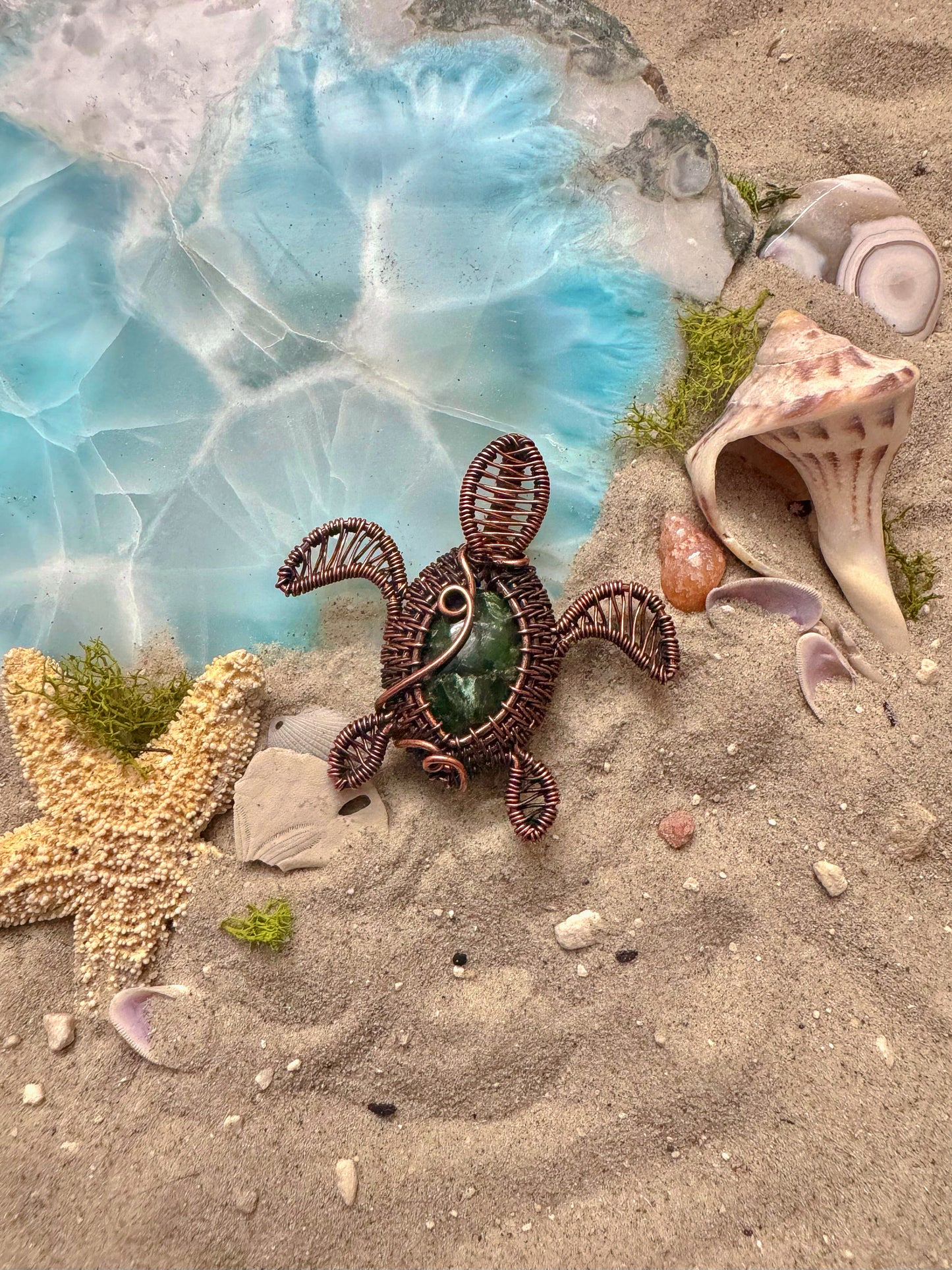 Sea Turtle