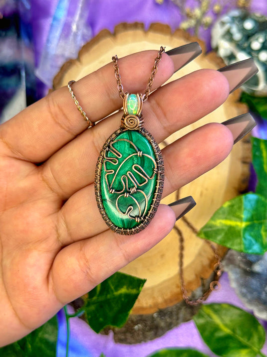 monstera deliciosa 🌿