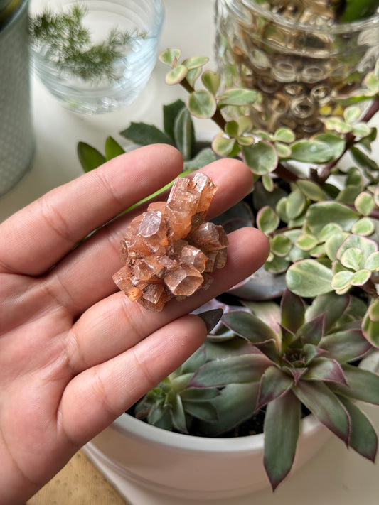 Aragonite