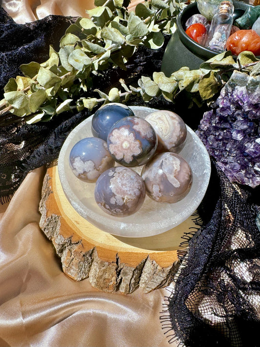 Black Flower Agate Spheres ✿YOU CHOOSE✿