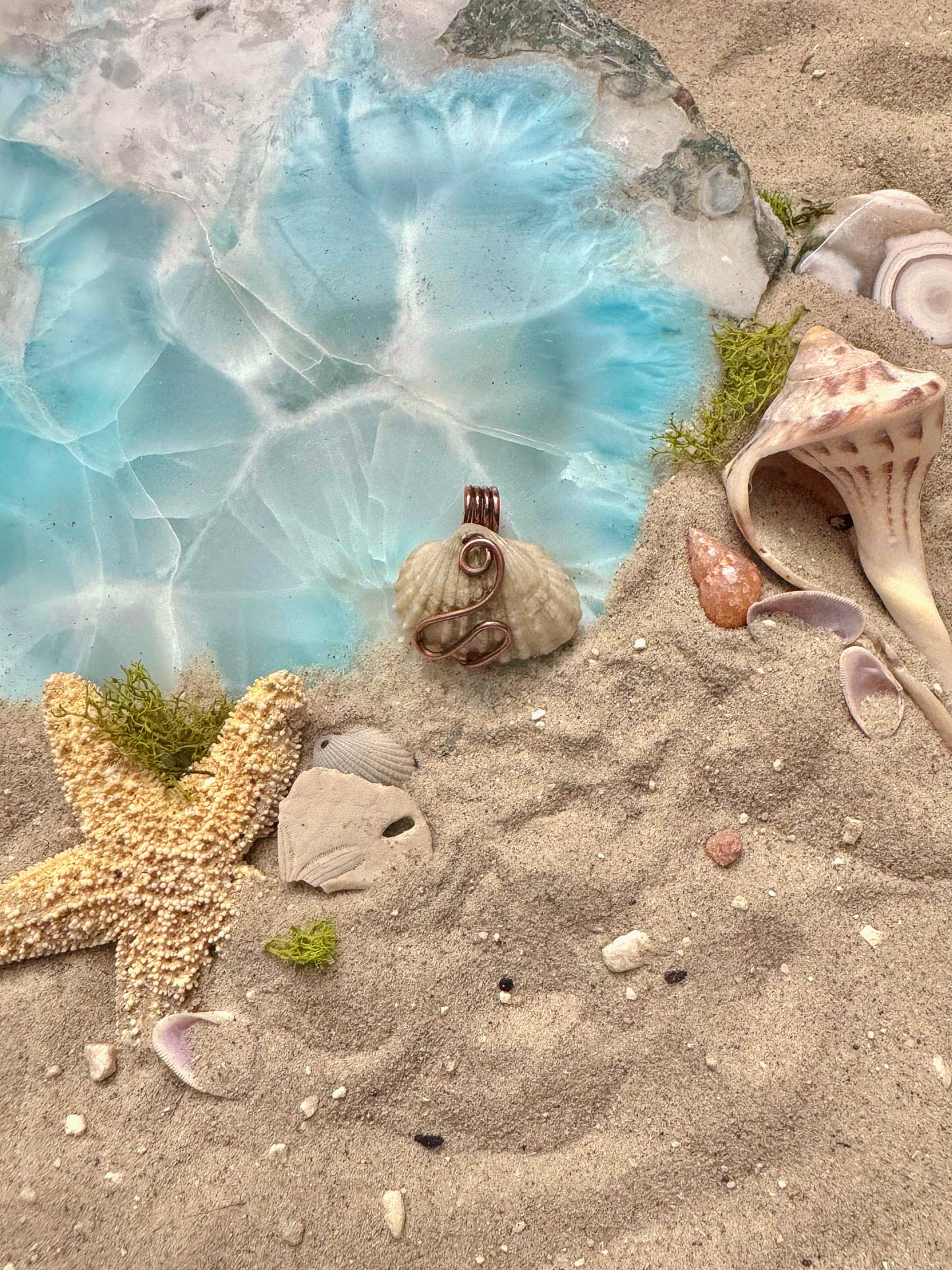 Ocean Treasures