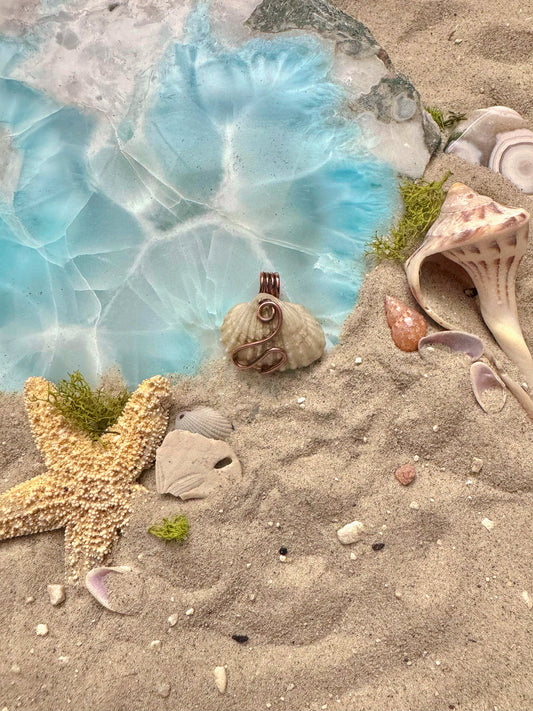 Ocean Treasures