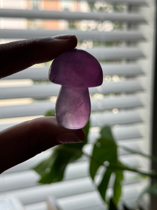 Fluorite Mushie