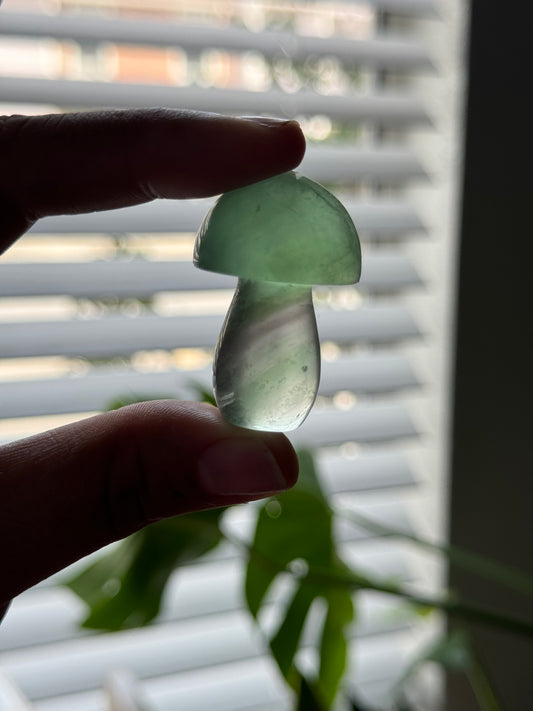 Fluorite Mushie