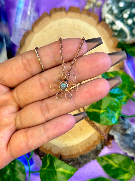 dainty daisy ✿