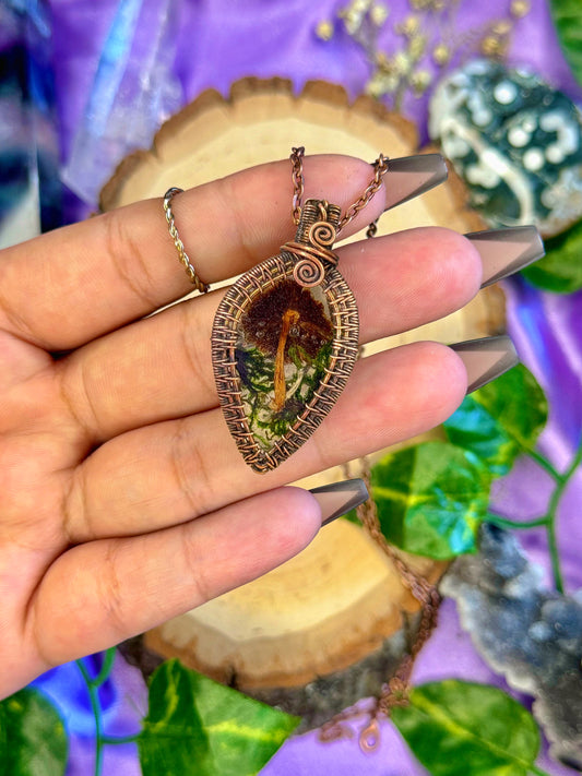 cottagecore πβπ«