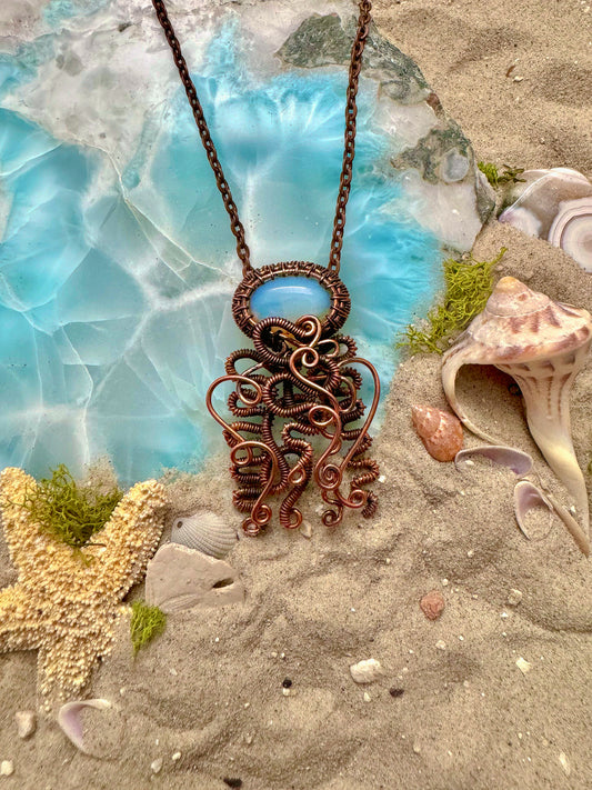 Jellyfish