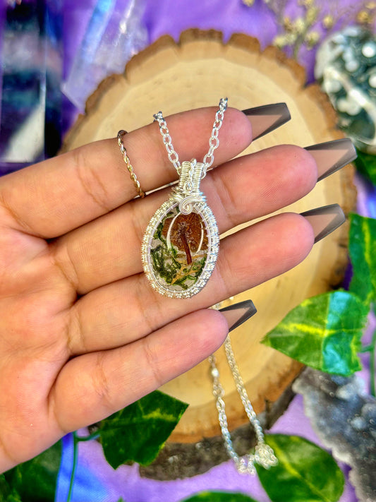 cottagecore 🍄🟫